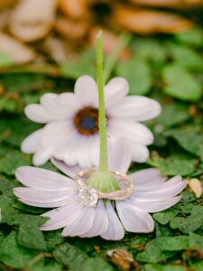 Bok Tower Engagement Session
