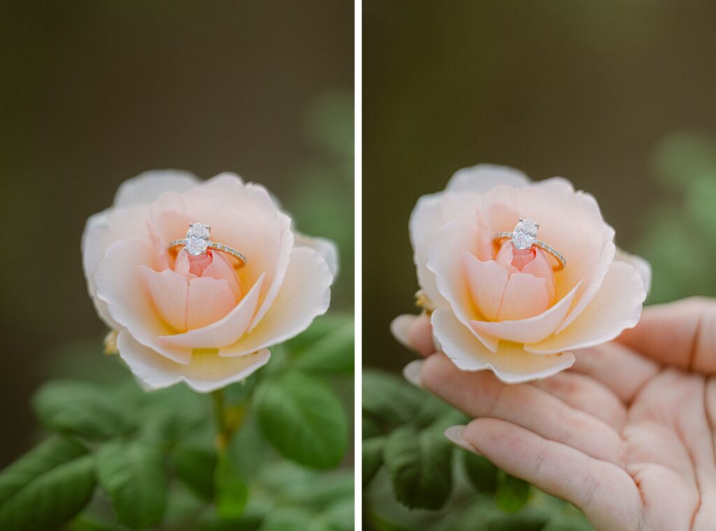Leu Gardens Engagement Session
