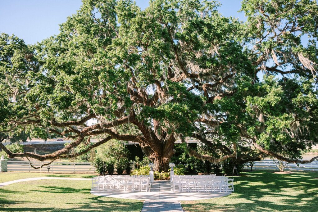 The Highland Manor Wedding
